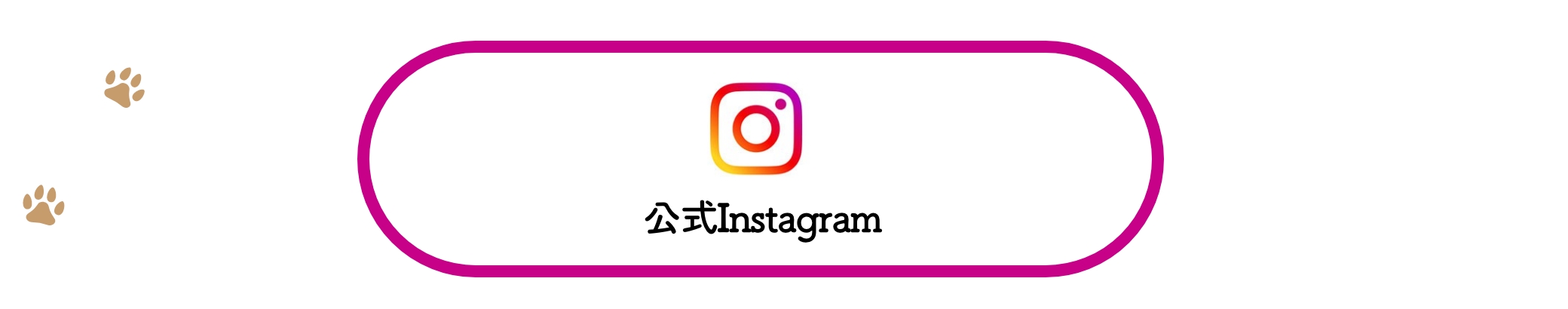 ドッグラン公式Instagram