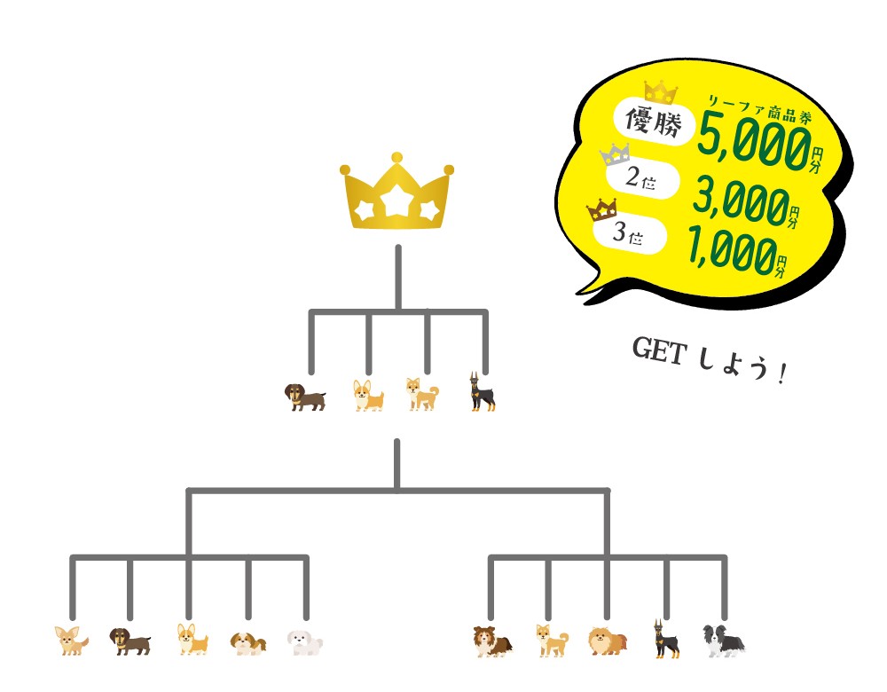 リーファナカガワ わんわんフェスティバル　わんわんレース